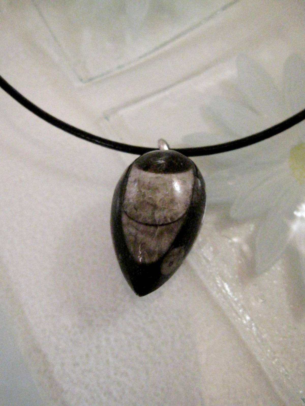 Orthoceras Fossil hänge på läderrem halsband