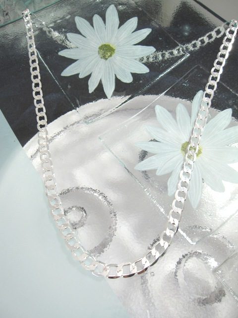 SilverkedjaCurb55cm