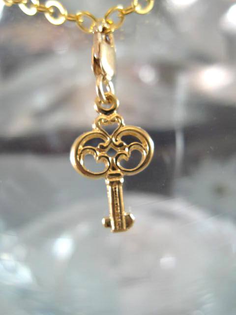 Guldberlock med karbinlås - Nyckel/14K GF