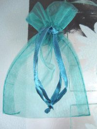 Presentpåse Organza - Grön/Teal