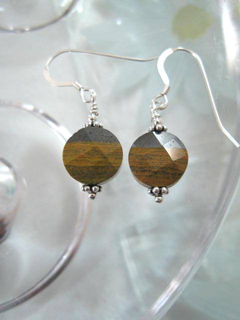 Järntiger örhängen - Fasett/Rund