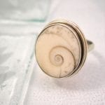 Shivasnäcka ring - Oval